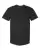 66651_f_fl.webp