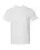 66670_f_fl.webp