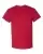 66704_f_fl.webp