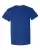 66711_f_fl.webp