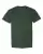 66717_f_fl.webp