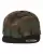 66799_f_fl.webp