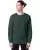 679213.webp