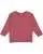679282.webp