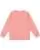 680446.webp