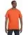 6952.webp