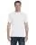 7016.webp