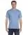 7019.webp