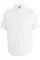 702597.webp