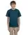 7076.webp