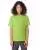 7085.webp