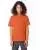 7093.webp
