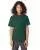 7095.webp