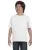 7109.webp