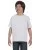 7110.webp