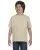 7111.webp