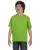 7113.webp