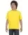 7115.webp