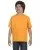 7117.webp