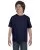 7119.webp