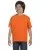 7120.webp