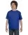 7123.webp