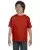 7124.webp