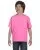 7125.webp