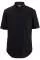 713503.webp