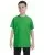 7175.webp