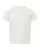 71937_f_fl.webp