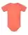 72135_f_fl.webp