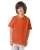 7223.webp