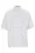 725245.webp