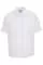 729253.webp