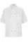 729446.webp