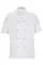 730122.webp