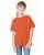 7303.webp