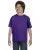 7304.webp