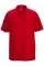 730495.webp