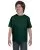 7306.webp