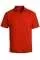 730637.webp