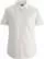 731005.webp