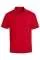 731078.webp