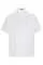 731866.webp