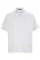 731900.webp