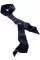 732563.webp