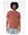 737543.webp