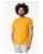 737696.webp