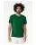 737703.webp